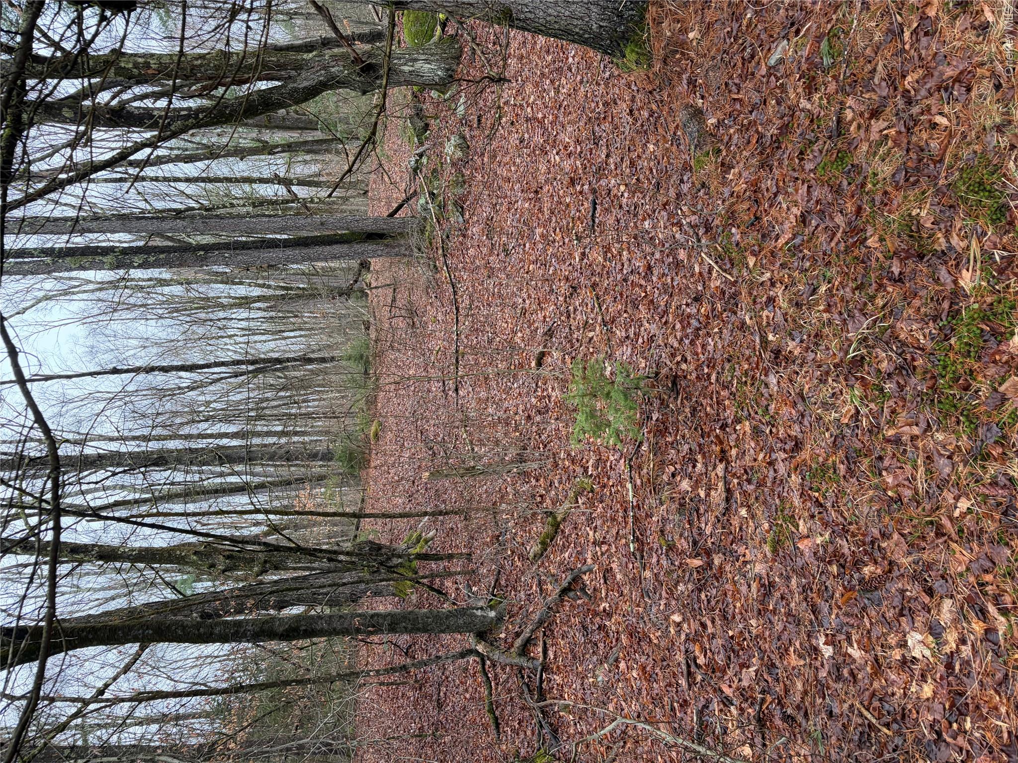 378 Gregory Road Monticello, NY 12701 - Photo 26 of 40