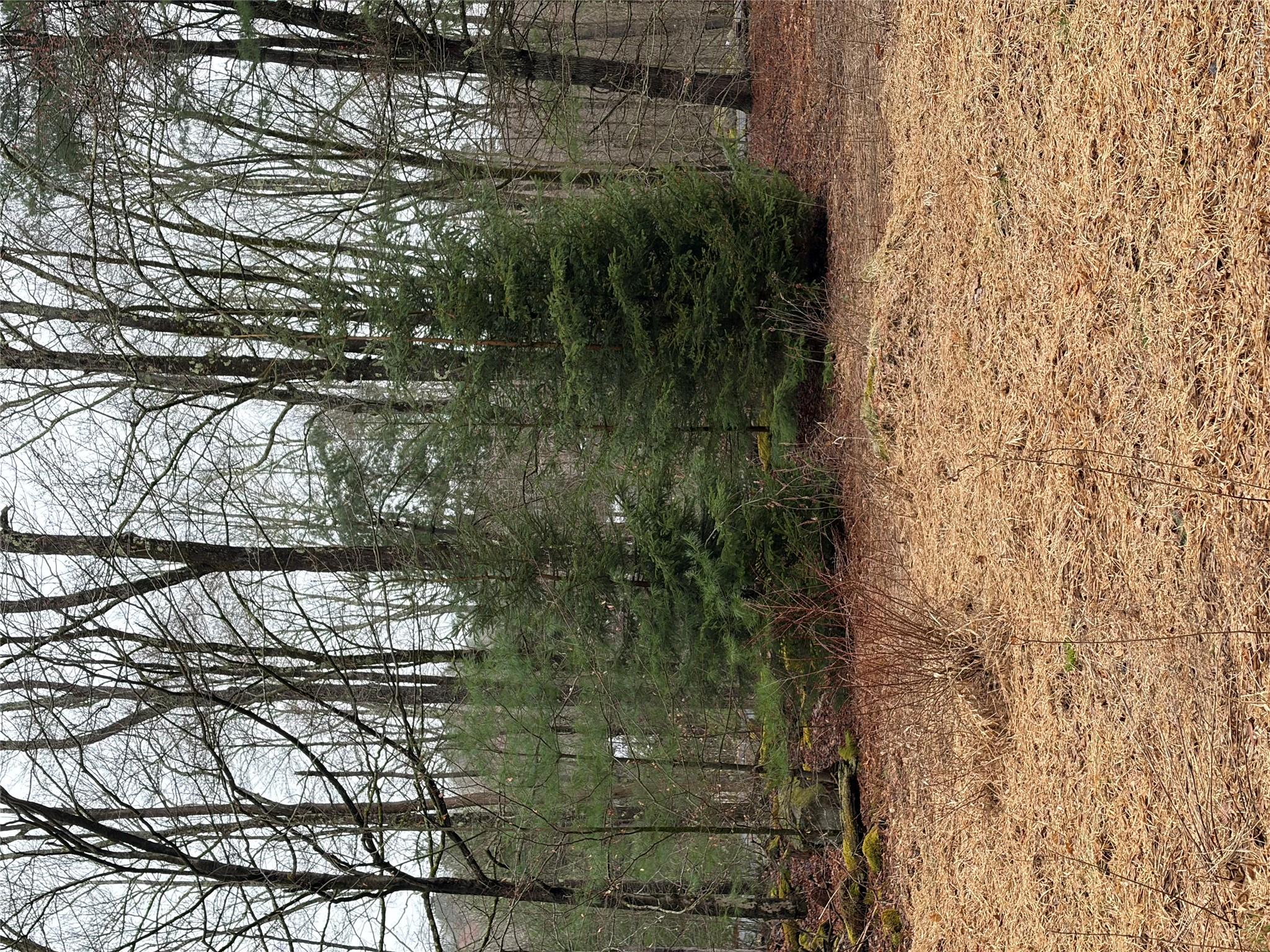 378 Gregory Road Monticello, NY 12701 - Photo 30 of 40