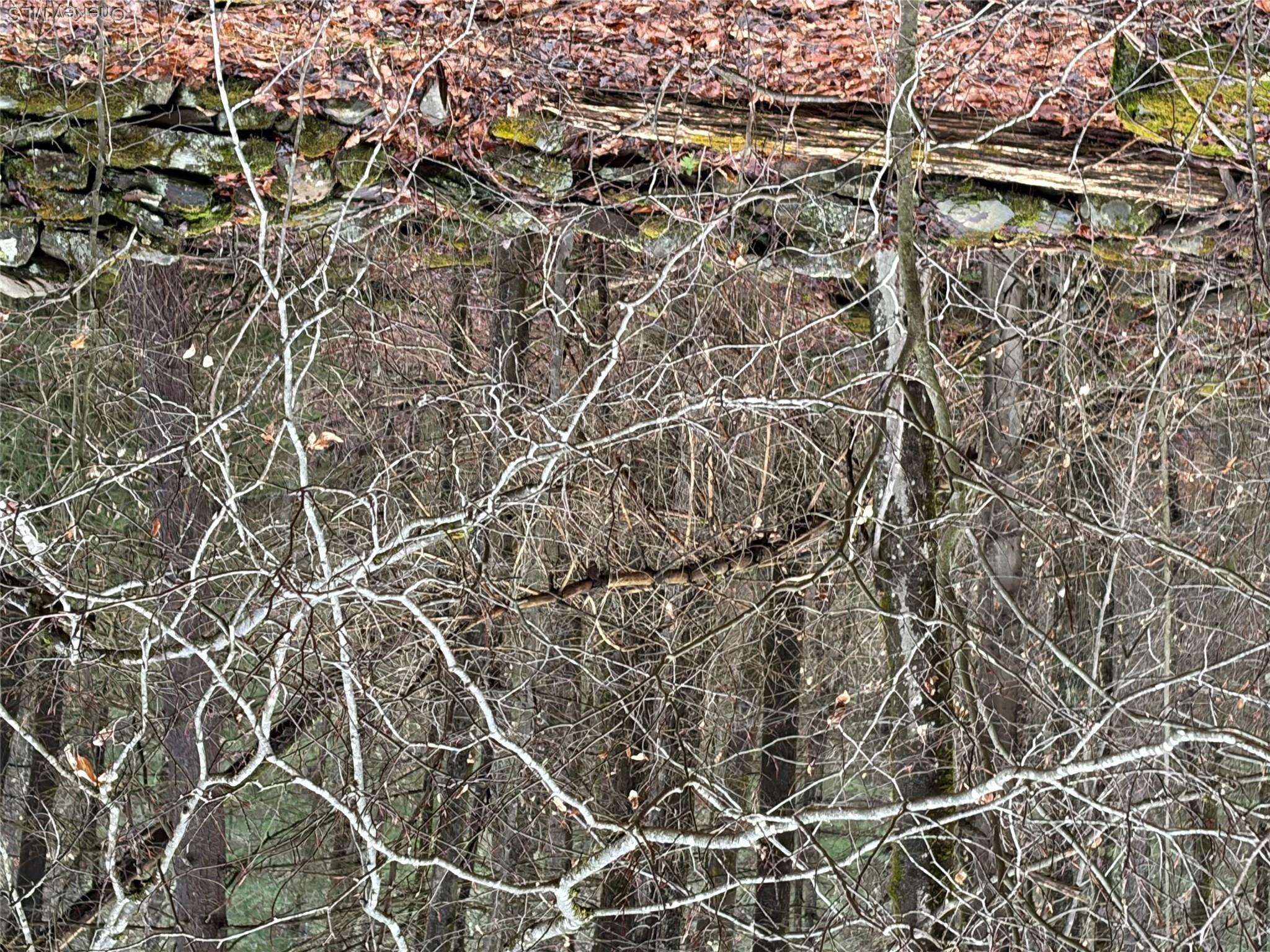 378 Gregory Road Monticello, NY 12701 - Photo 34 of 40