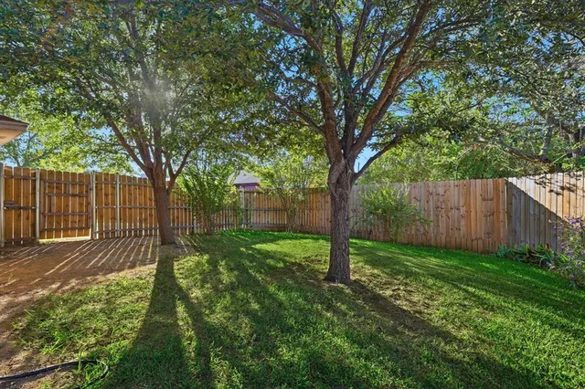 a view of backyard with tree