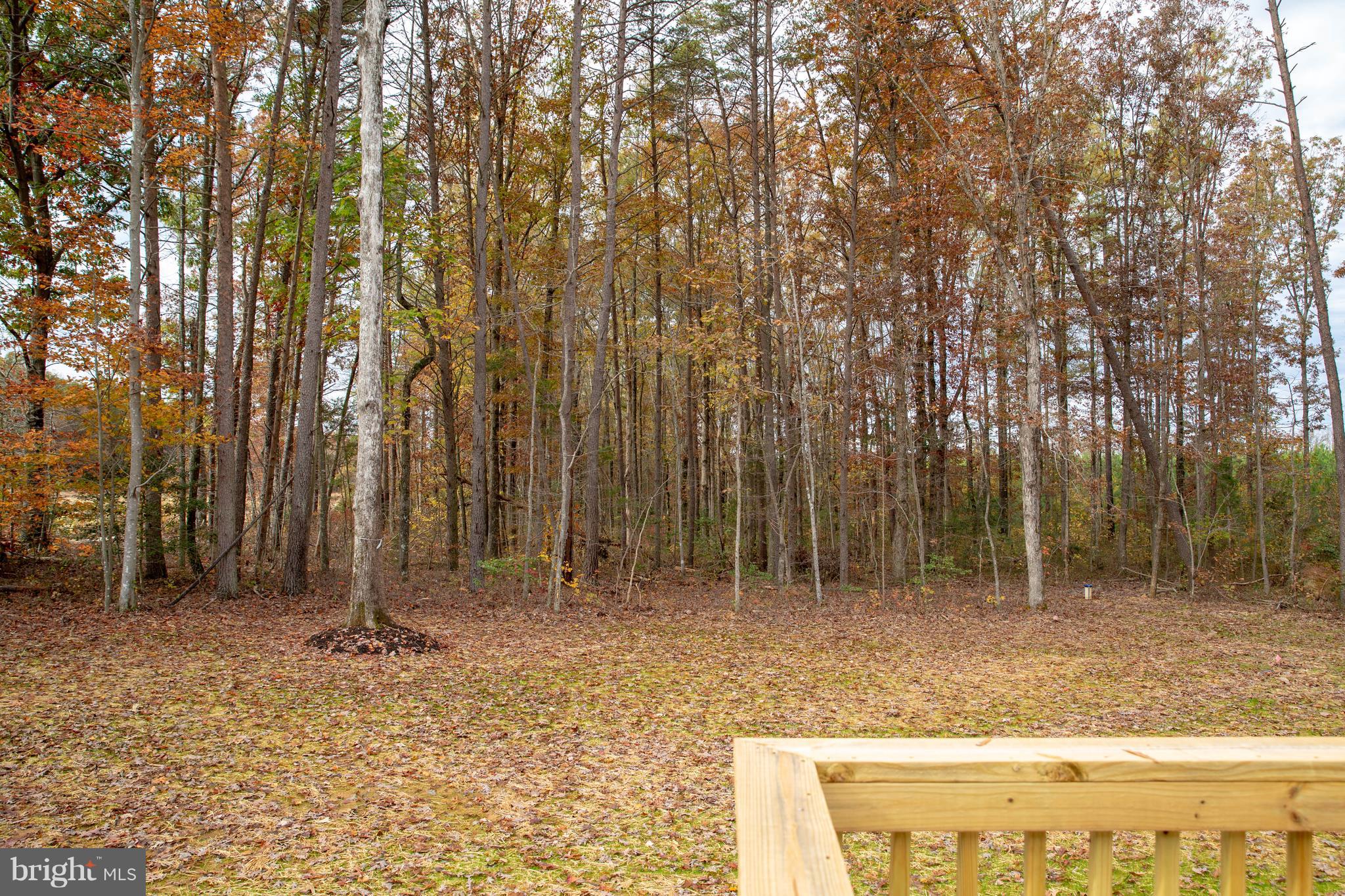 3500 Partlow Road Partlow, VA 22534 - Photo 28 of 30 View