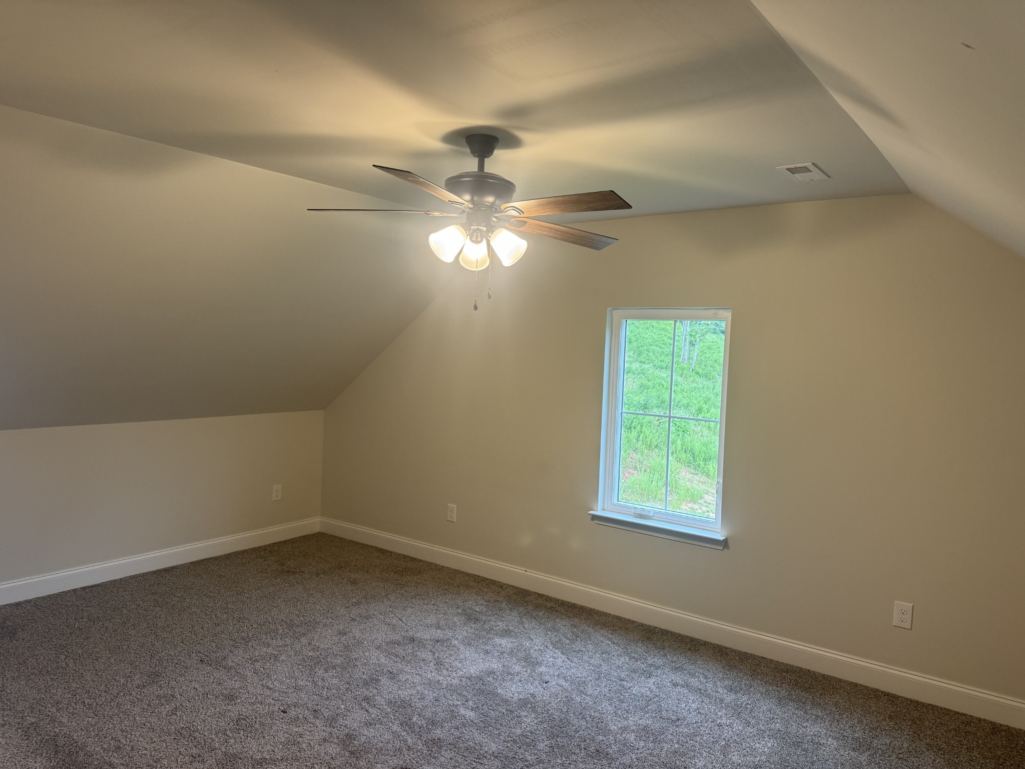 2055 Collier Road Cornersville, TN 37047 - Photo 7 of 44