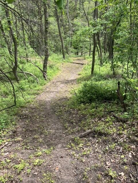 Parcel A West County Line Road Greenville, MI 48838 - Photo 6 of 14 P5