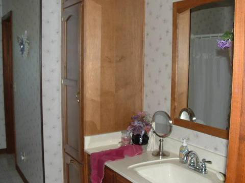 13910 Rome Road Manitou Beach, MI 49253 - Photo 8 of 10 948934-7.JPG