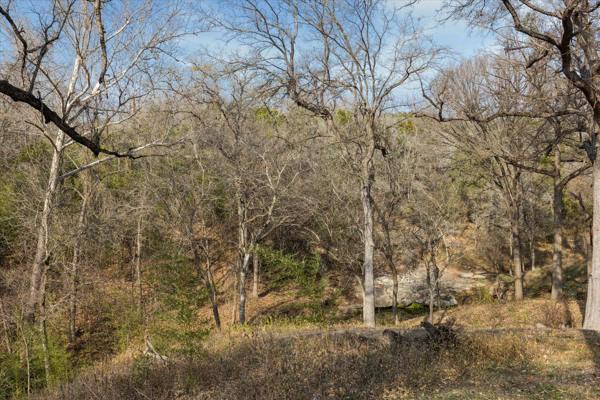 13918 Hummingbird Lane Austin, TX 78732 - Photo 27 of 32 a view of a yard