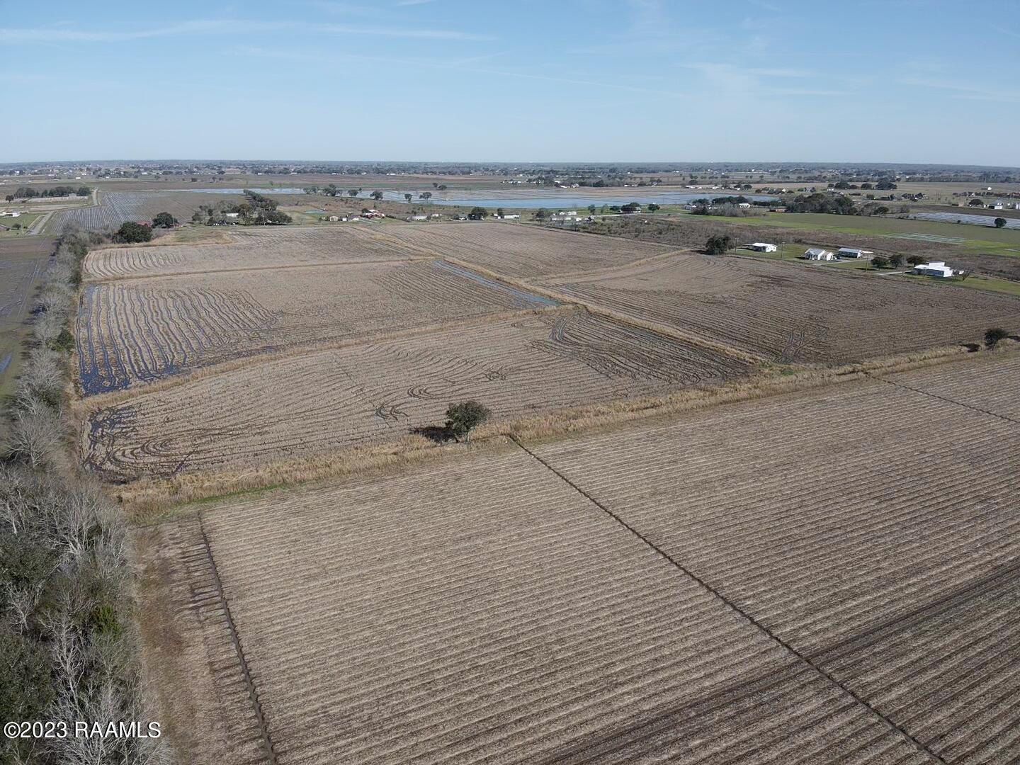 697 Alpha Road Abbeville, LA 70510 - Photo 8 of 13 2023-01-19-10-42-41-648