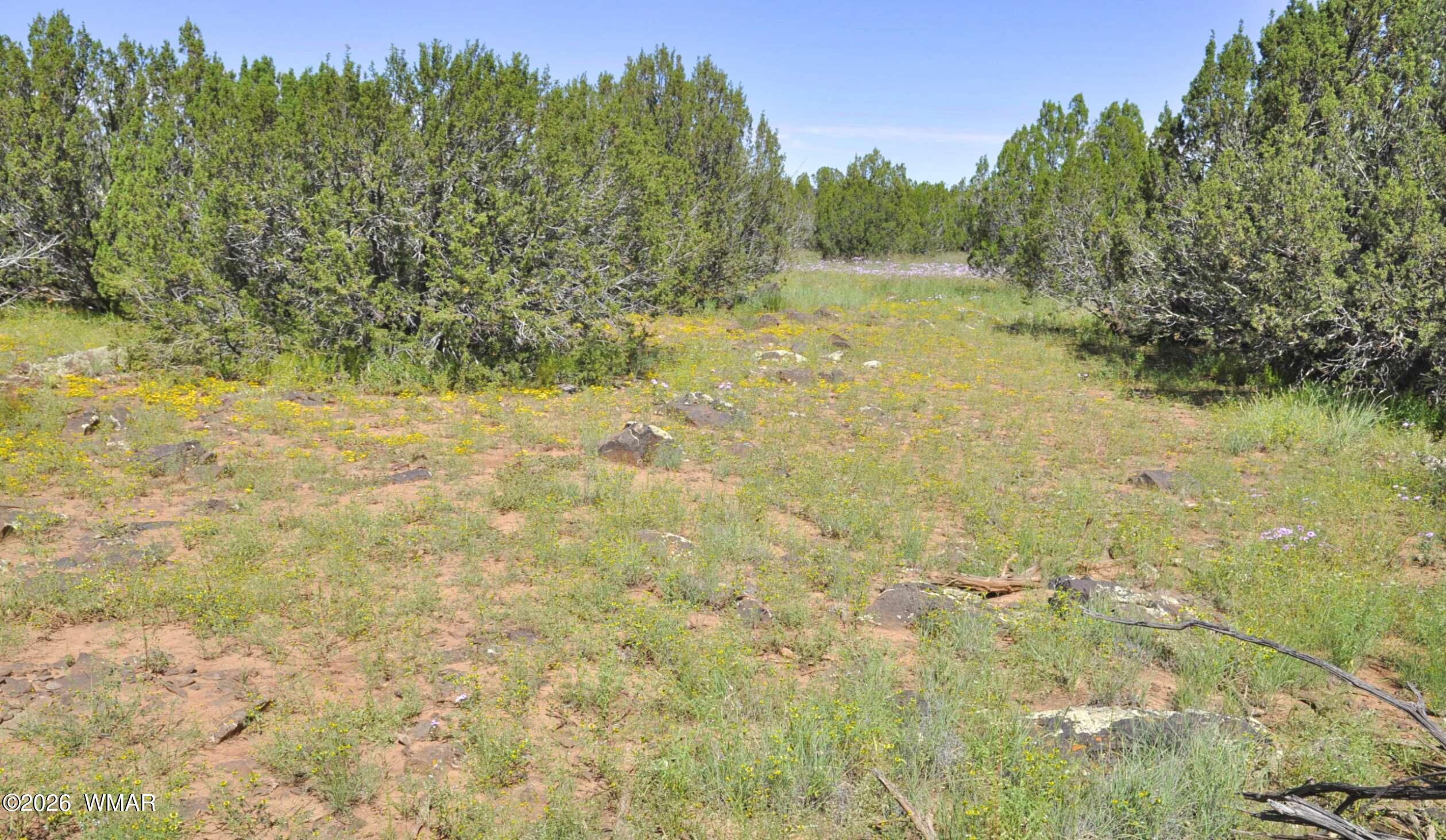 9184 C Chimisa Ranch Road Show Low, AZ 85901 - Photo 15 of 15 Gallery Image 15