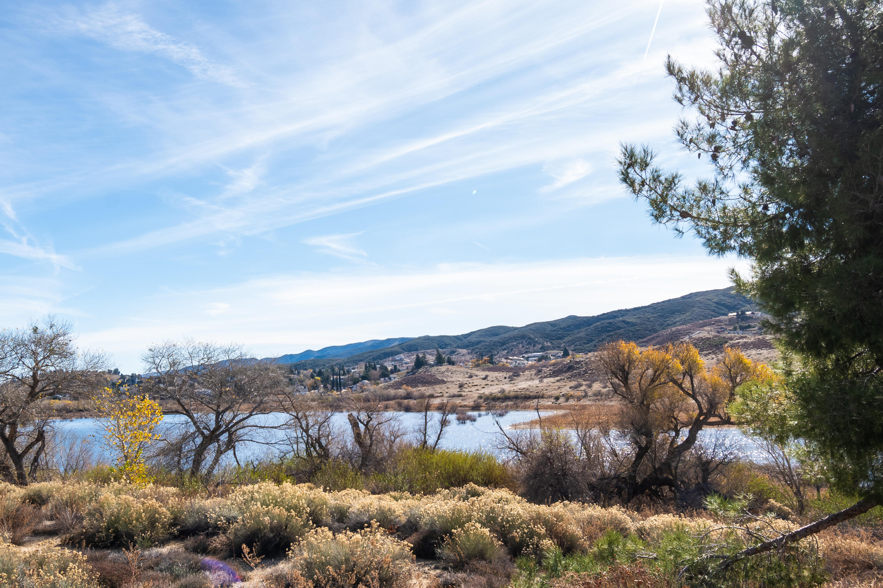 42604 Ranch Club Road Lake Hughes, CA 93532 - Photo 46 of 49 DSC_7910