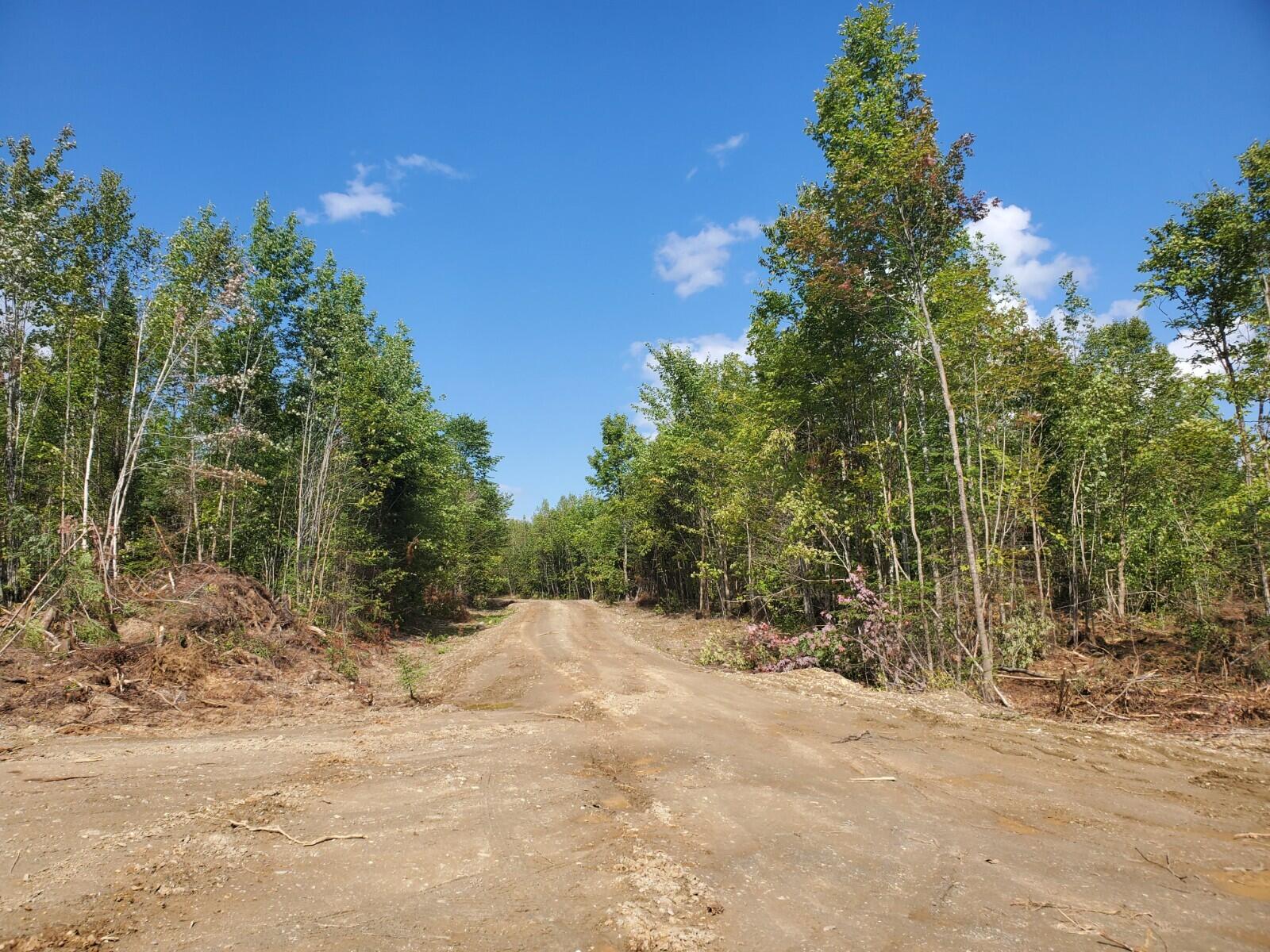 113-a Off Timber Road Crystal, ME 04747 - Photo 2 of 6 20210831_141204