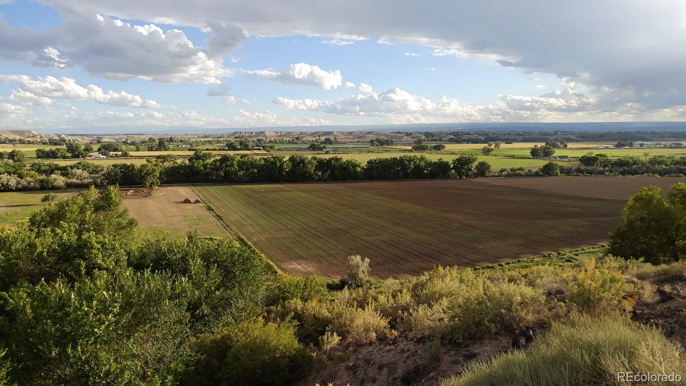 20298 Fox Ridge Drive Austin, CO 81410 - Photo 2 of 24 a view of an ocean