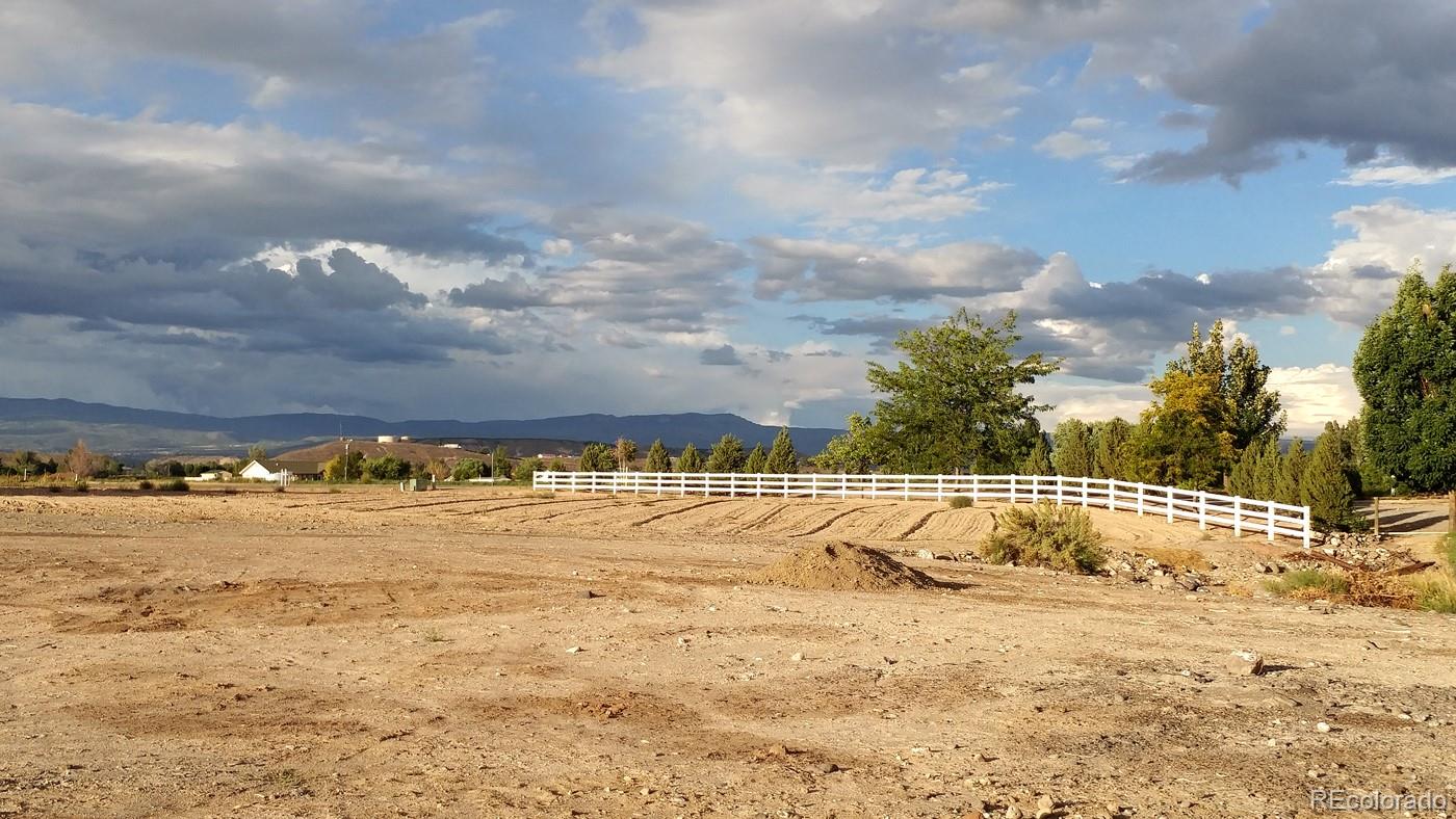 20298 Fox Ridge Drive Austin, CO 81410 - Photo 5 of 24