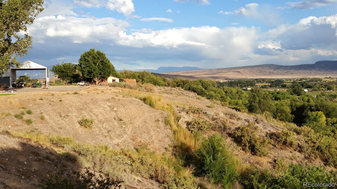 20298 Fox Ridge Drive Austin, CO 81410 - Photo 6 of 24 a view of a dry yard with wooden fence