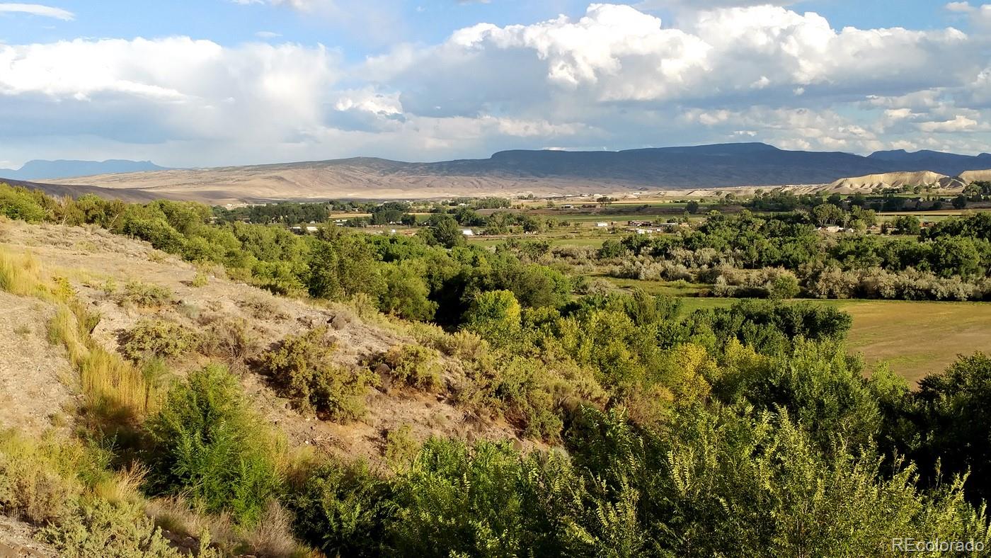 20298 Fox Ridge Drive Austin, CO 81410 - Photo 7 of 24 a view of a city and mountains