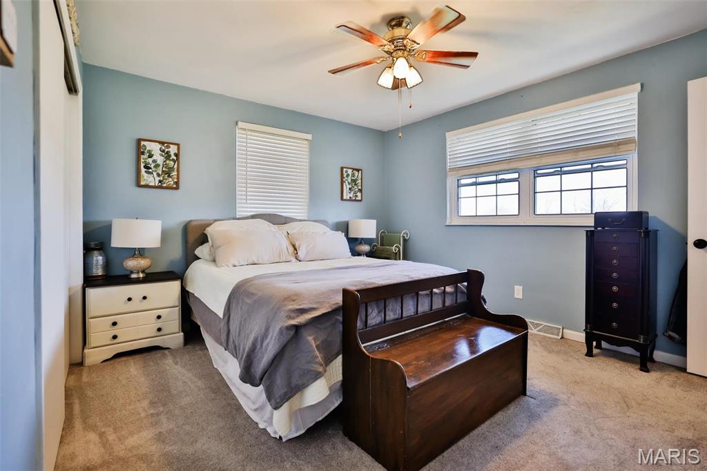 1625 Fosterburg Road Brighton, IL 62012 - Photo 23 of 83
