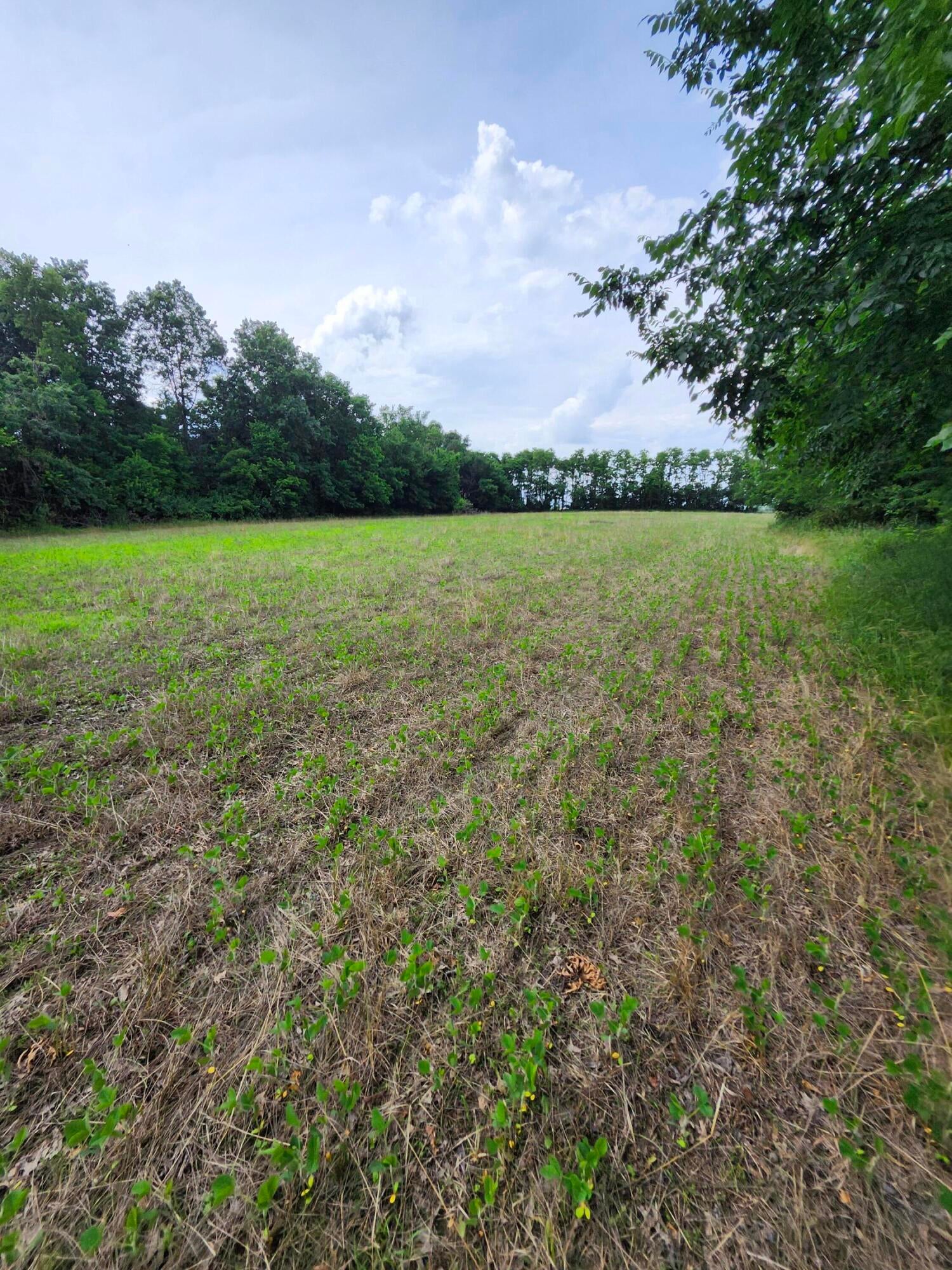 Lot 2 East Mchatton Road Sturgeon, MO 65284 - Photo 1 of 1 1000011375