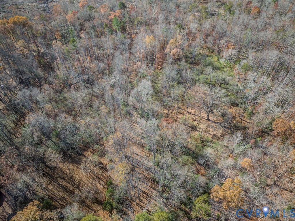 0 Porters Road Esmont, VA 22937 - Photo 19 of 27 Gallery Image 19