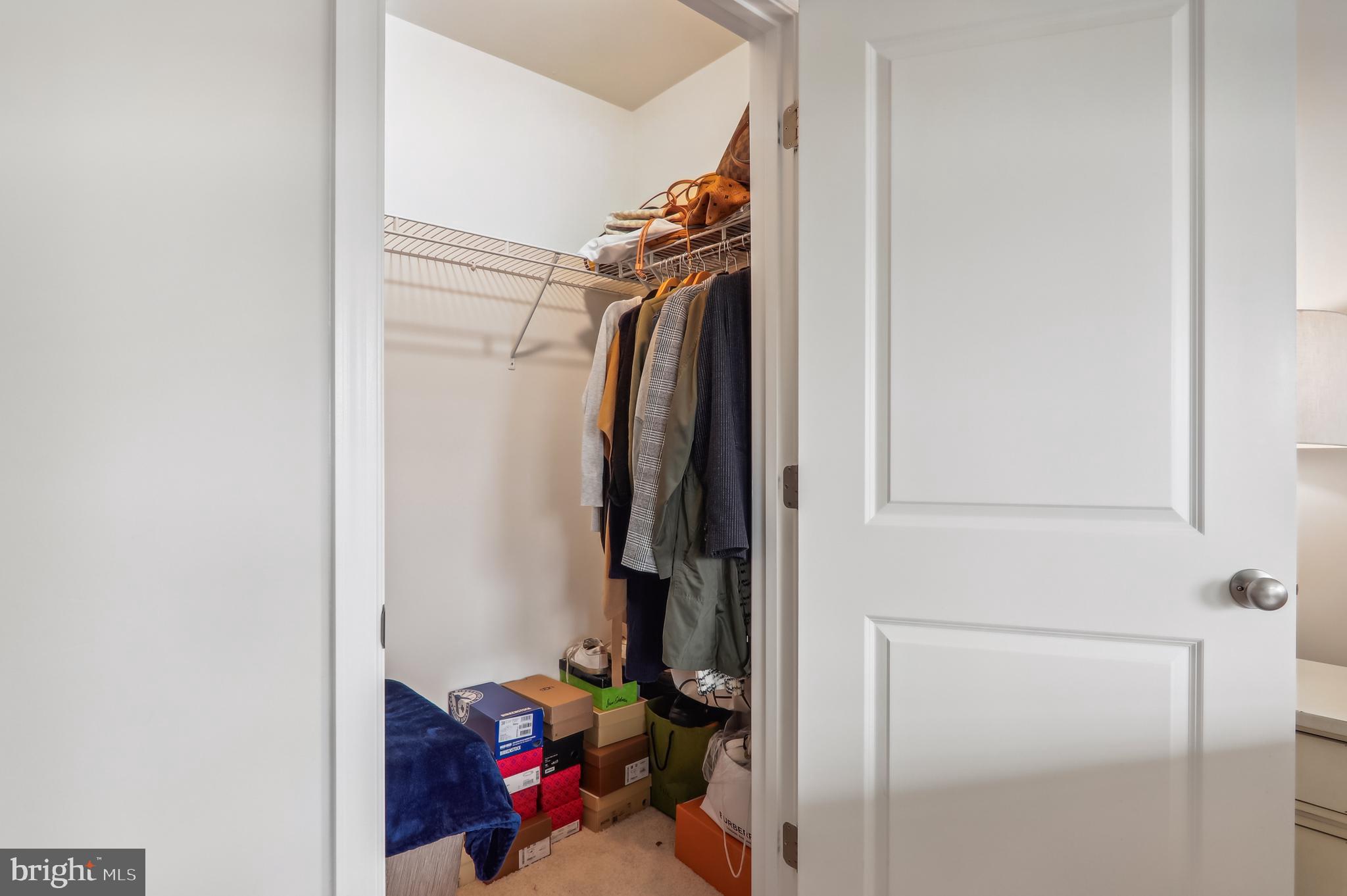 9826 Ruby Lockhart Boulevard Bowie, MD 20721 - Photo 34 of 43 Primary Room Walk-in Closet