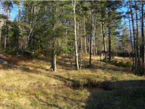 2201 South Hill Road Ludlow, VT 05149 - Photo 18 of 18