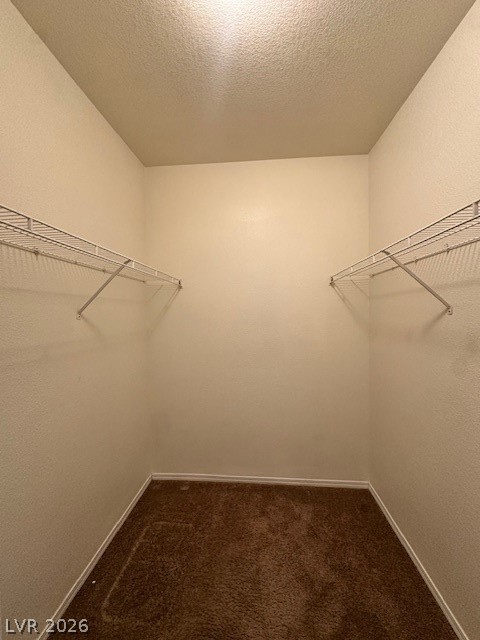 3318 North Decatur Boulevard, Unit 1069 Las Vegas, NV 89130 - Photo 24 of 38 primary Walk in closet