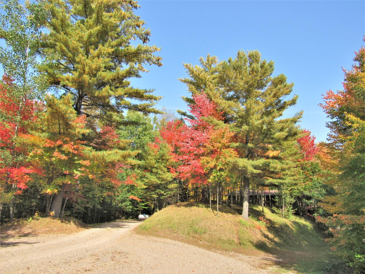 W8469 Cork Road Phillips, WI 54555 - Photo 62 of 64 Gallery Image 62