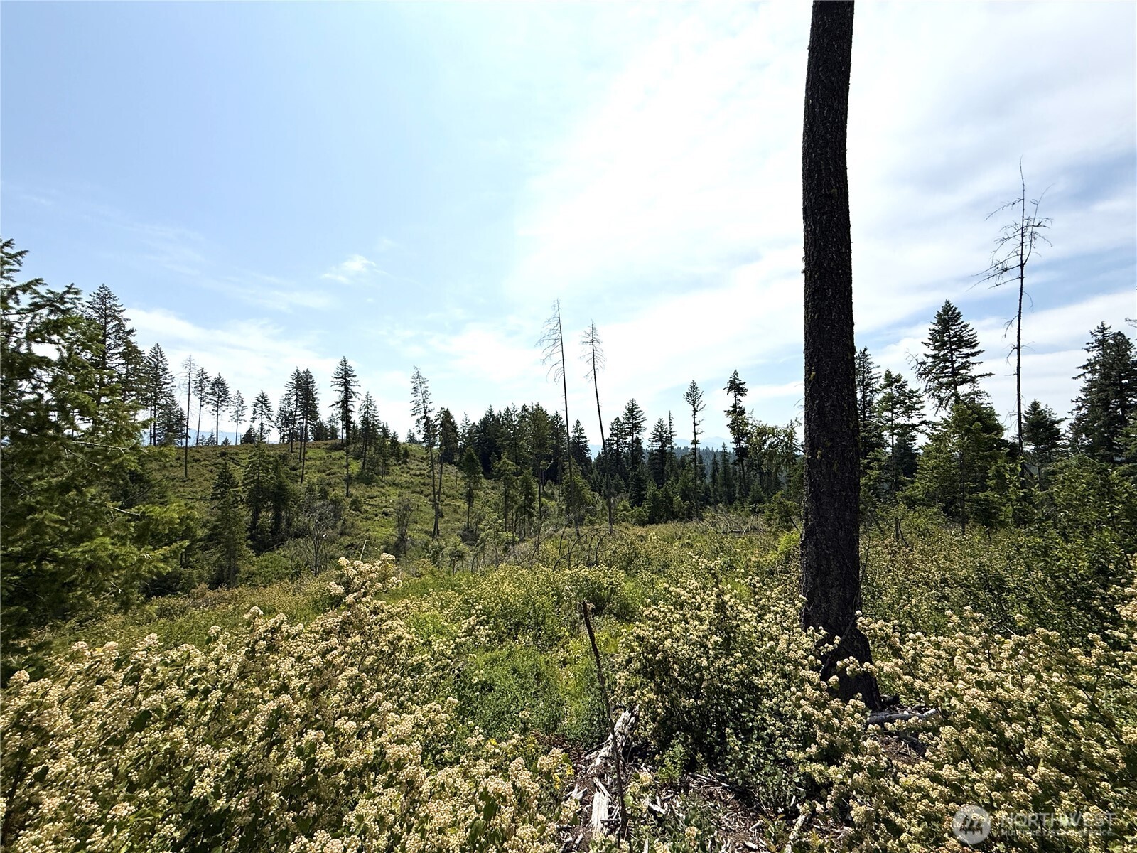 0 Rockabye Lane Curlew, WA 99118 - Photo 14 of 29 a view of a city