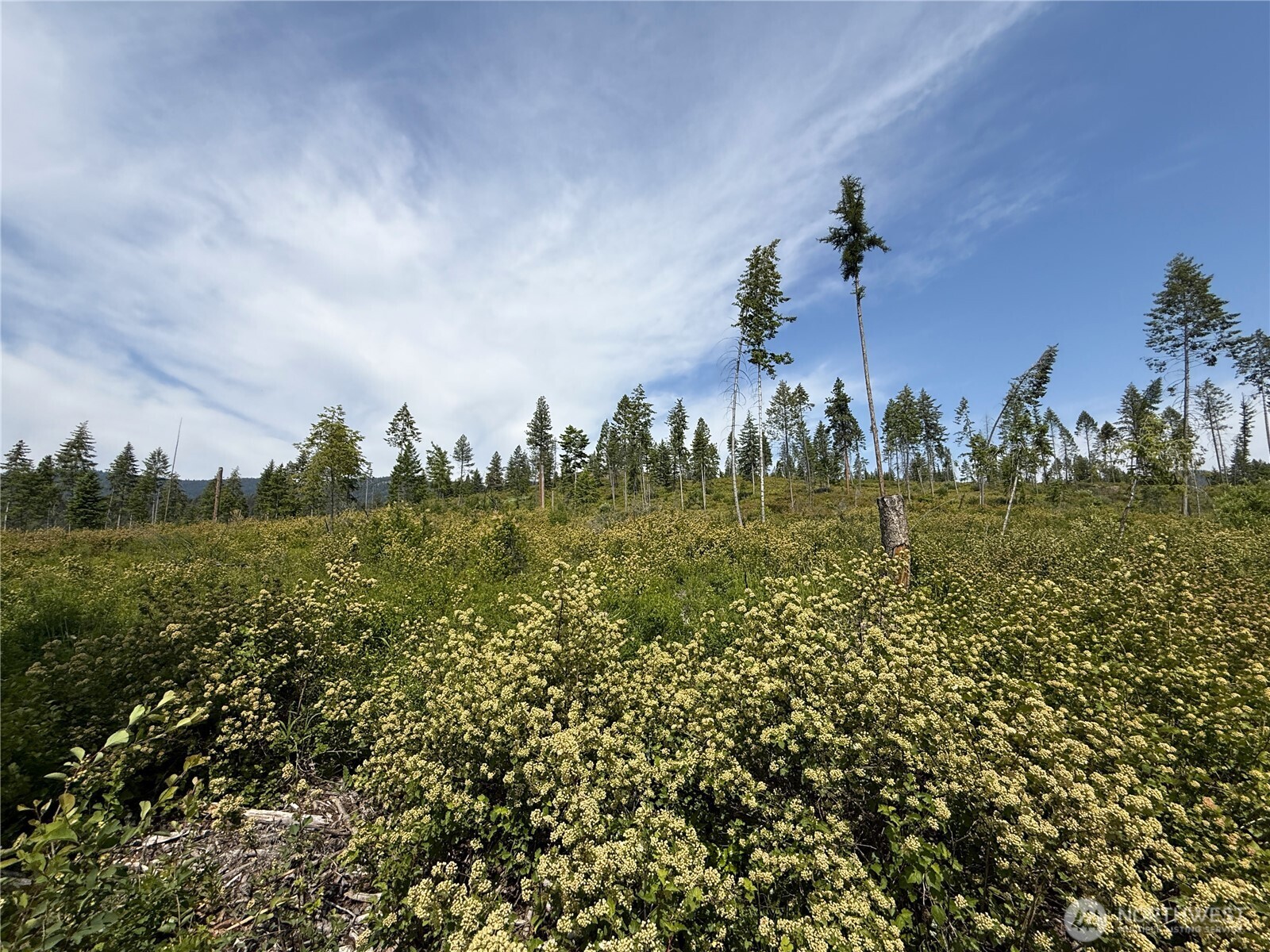 0 Rockabye Lane Curlew, WA 99118 - Photo 16 of 29 a view of a city