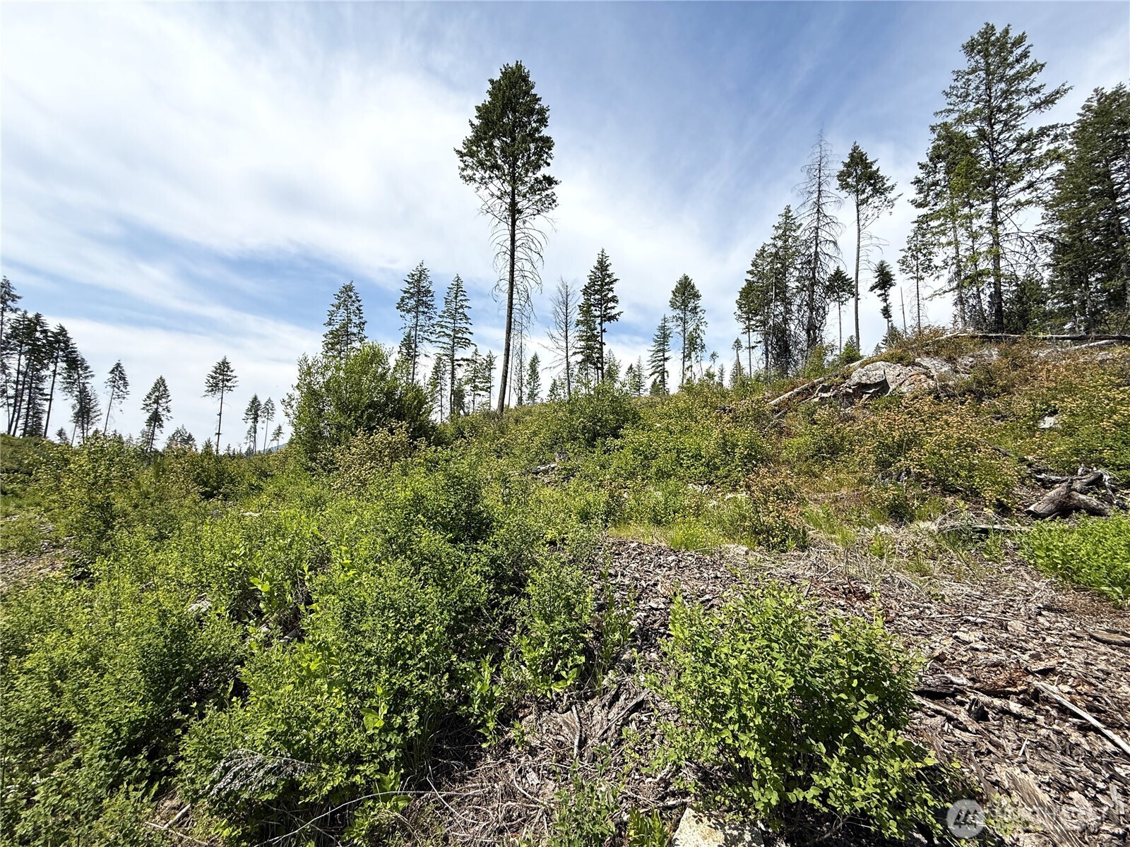 0 Rockabye Lane Curlew, WA 99118 - Photo 6 of 29 a view of a city with lush green forest