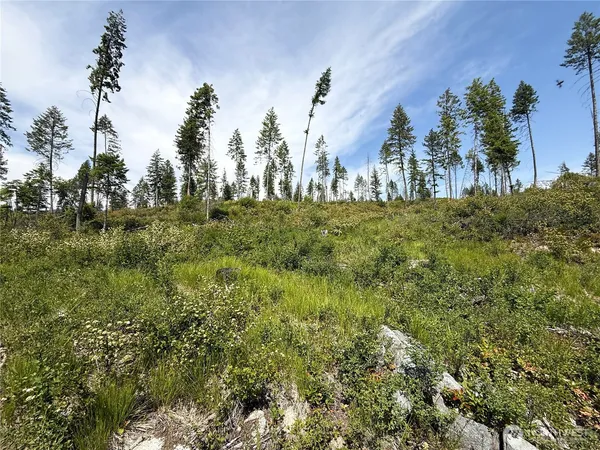 a view of a large yard with lots of green space