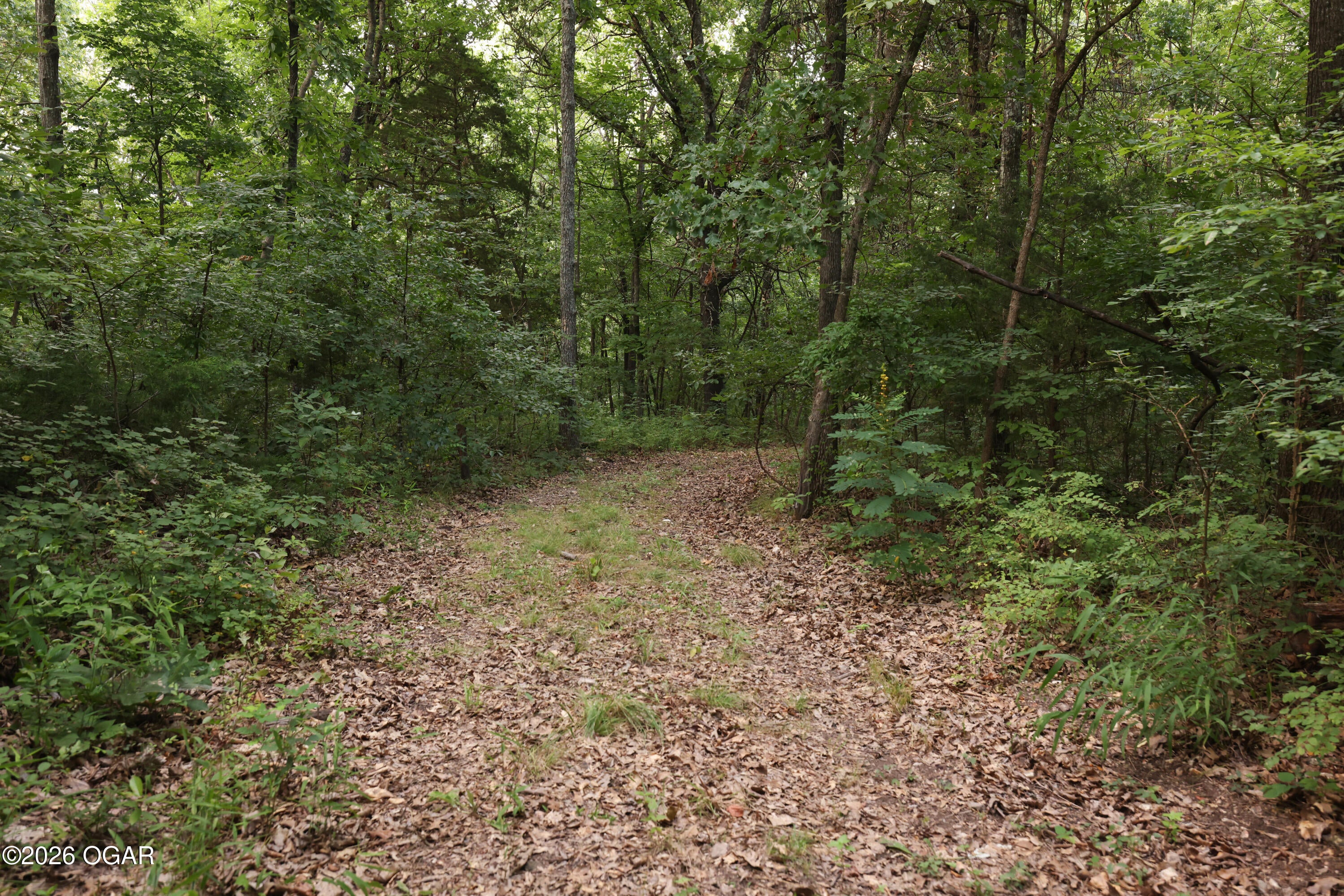 861 Tilden Road Galena, MO 65656 - Photo 20 of 67 Gallery Image 20