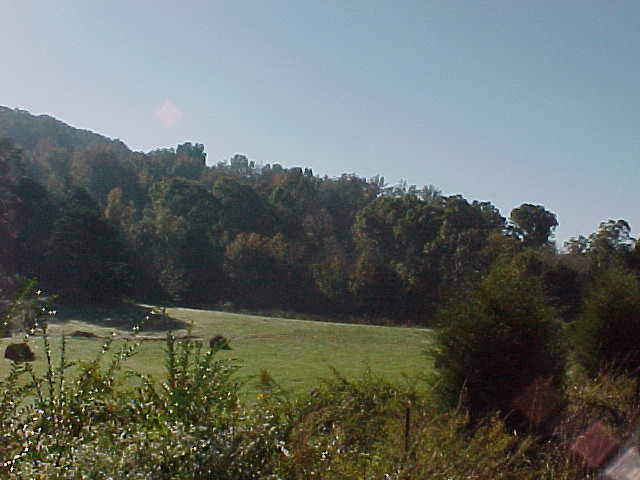 Primary Photo