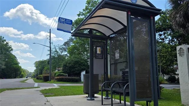 a view of a park with a bench and trees