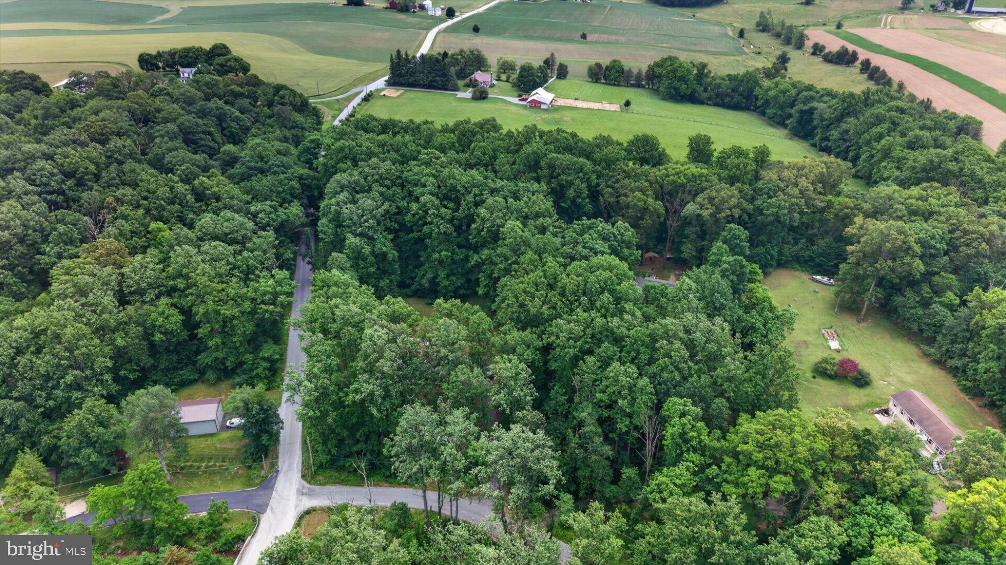 802 Hollow Road Delta, PA 17314 - Photo 36 of 45 Lush greenery meets serene countryside.