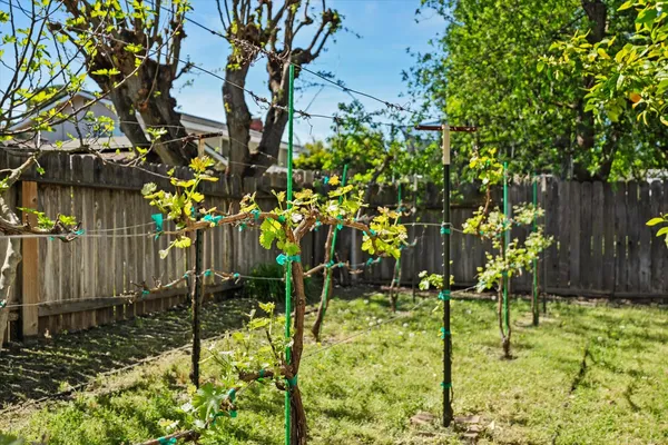 $780,000 | 404 Cabrillo Avenue, Davis, CA 95616