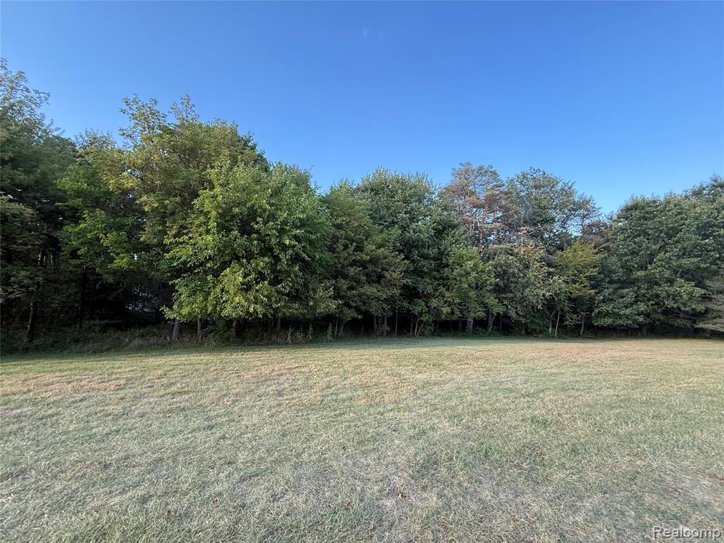 3745 Green Corners Road Metamora, MI 48455 - Photo 60 of 92 Gallery Image 60