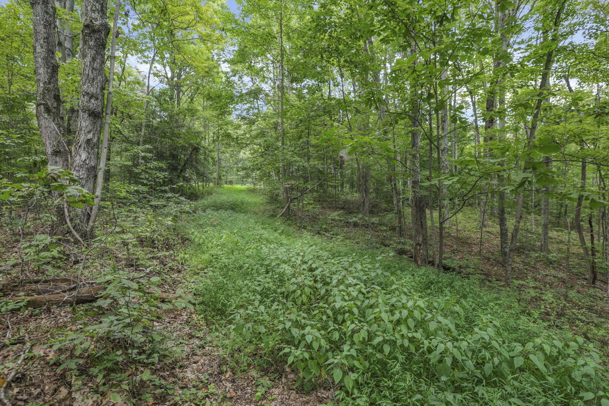 6545 Long Run Road Athens, OH 45701 - Photo 30 of 68 32-web-or-mls-939A2109