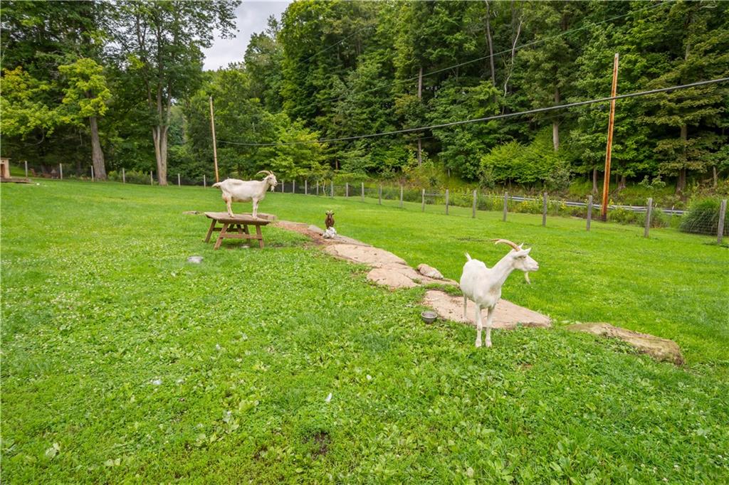521 McClelland Road Venetia, PA 15367 - Photo 16 of 36 Gallery Image 16
