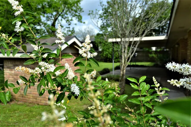 $1,600 | 109 Huntley Avenue, Lafayette, LA 70508
