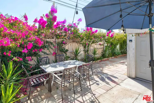 a view of a flower in a yard