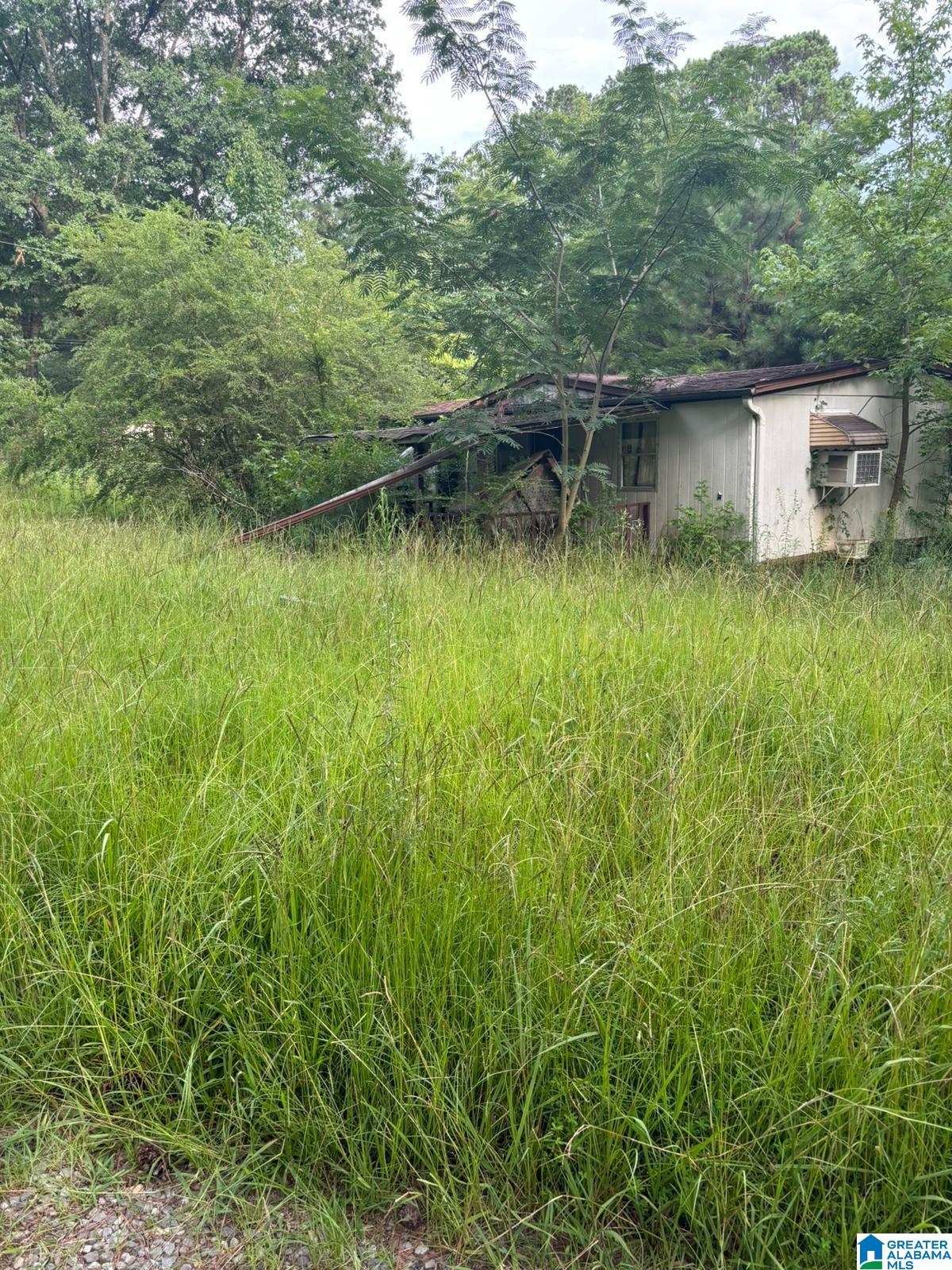 402 Spunky Hollow Road Remlap, AL 35133 - Photo 9 of 9
