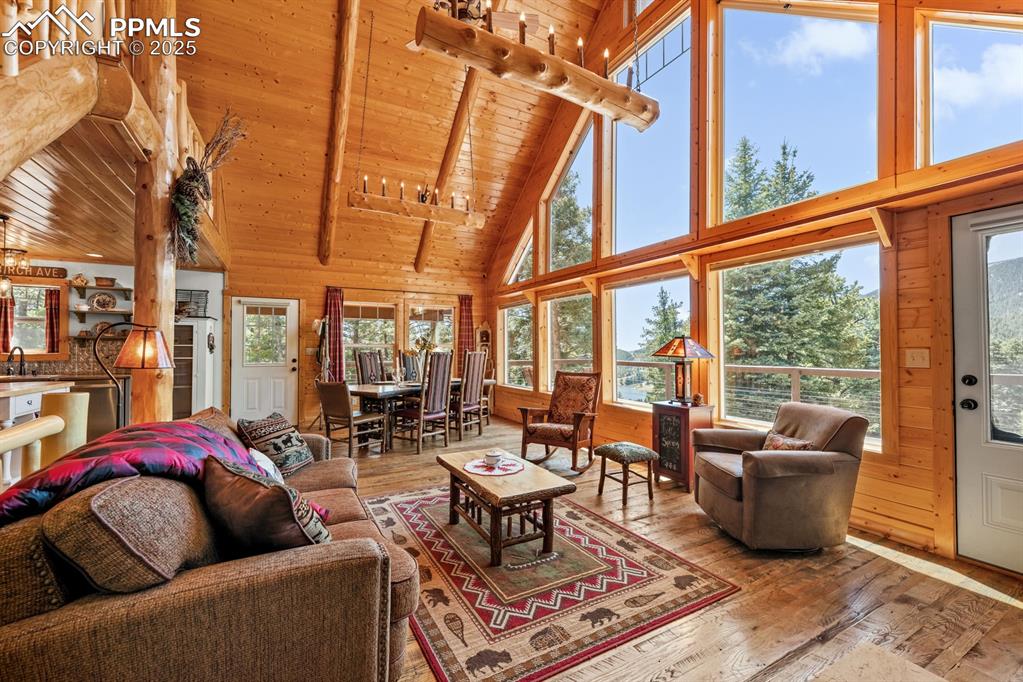 163 Wonder Trail Rye, CO 81069 - Photo 13 of 50 a living room with furniture a rug potted plant and a large window