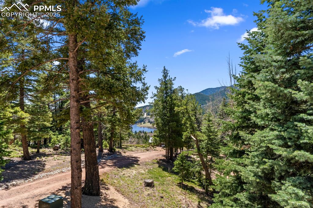 163 Wonder Trail Rye, CO 81069 - Photo 47 of 50 a view of a yard with plants and trees