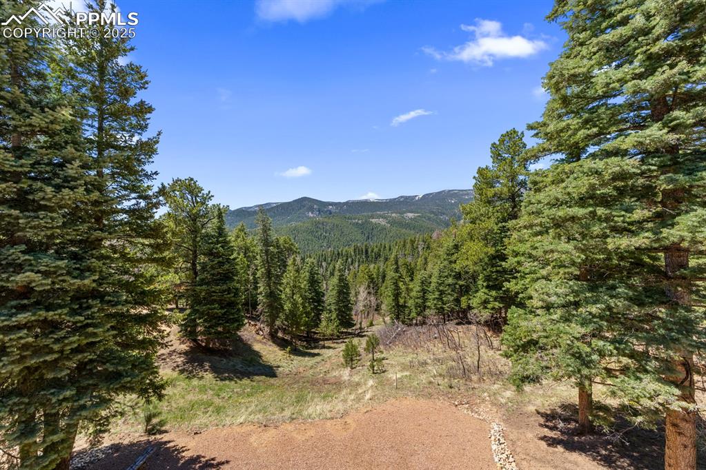 163 Wonder Trail Rye, CO 81069 - Photo 48 of 50 a view of a forest with trees in the background