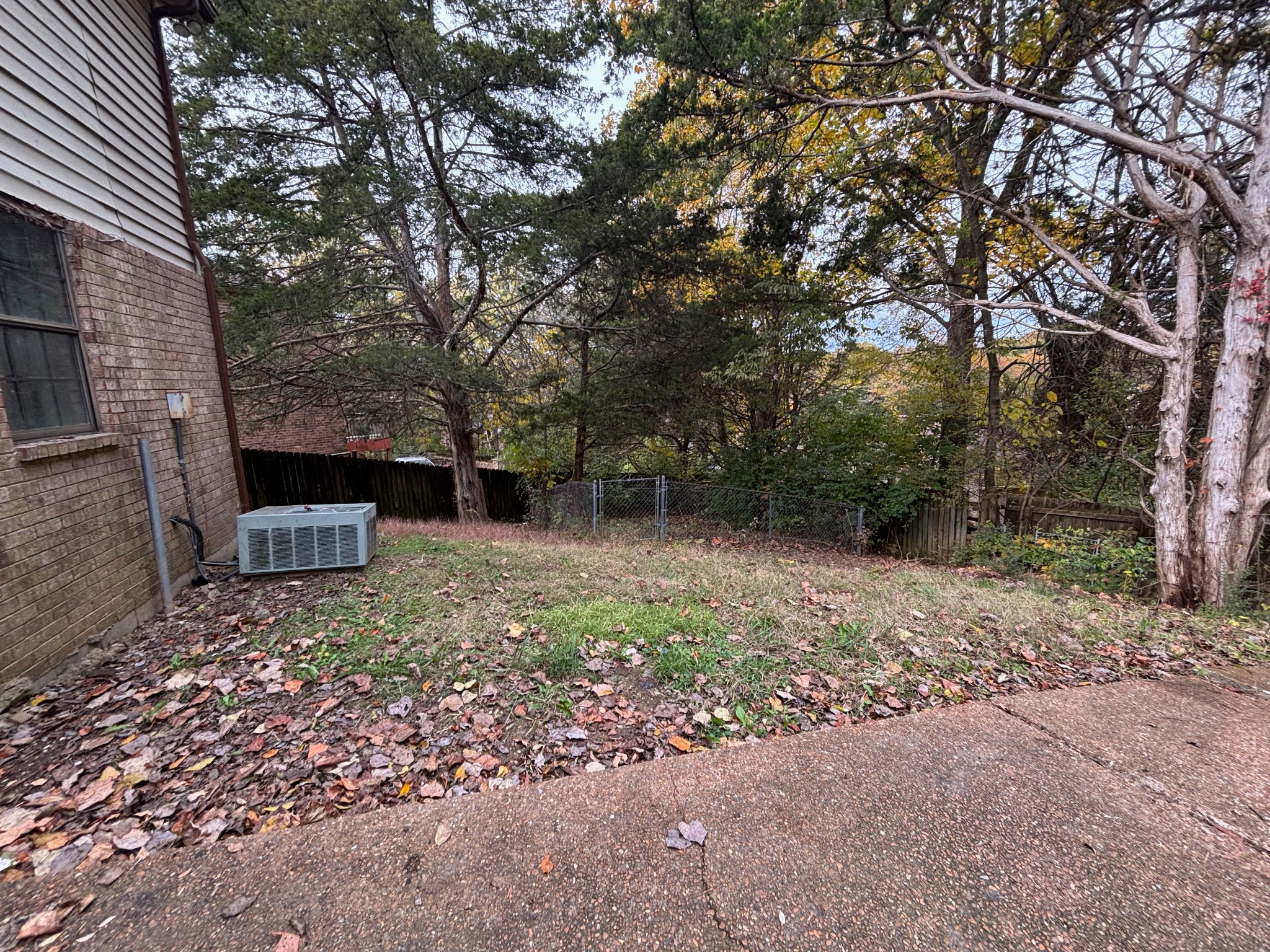 917 Tavistock Place Antioch, TN 37013 - Photo 11 of 14 a view of a backyard with large trees