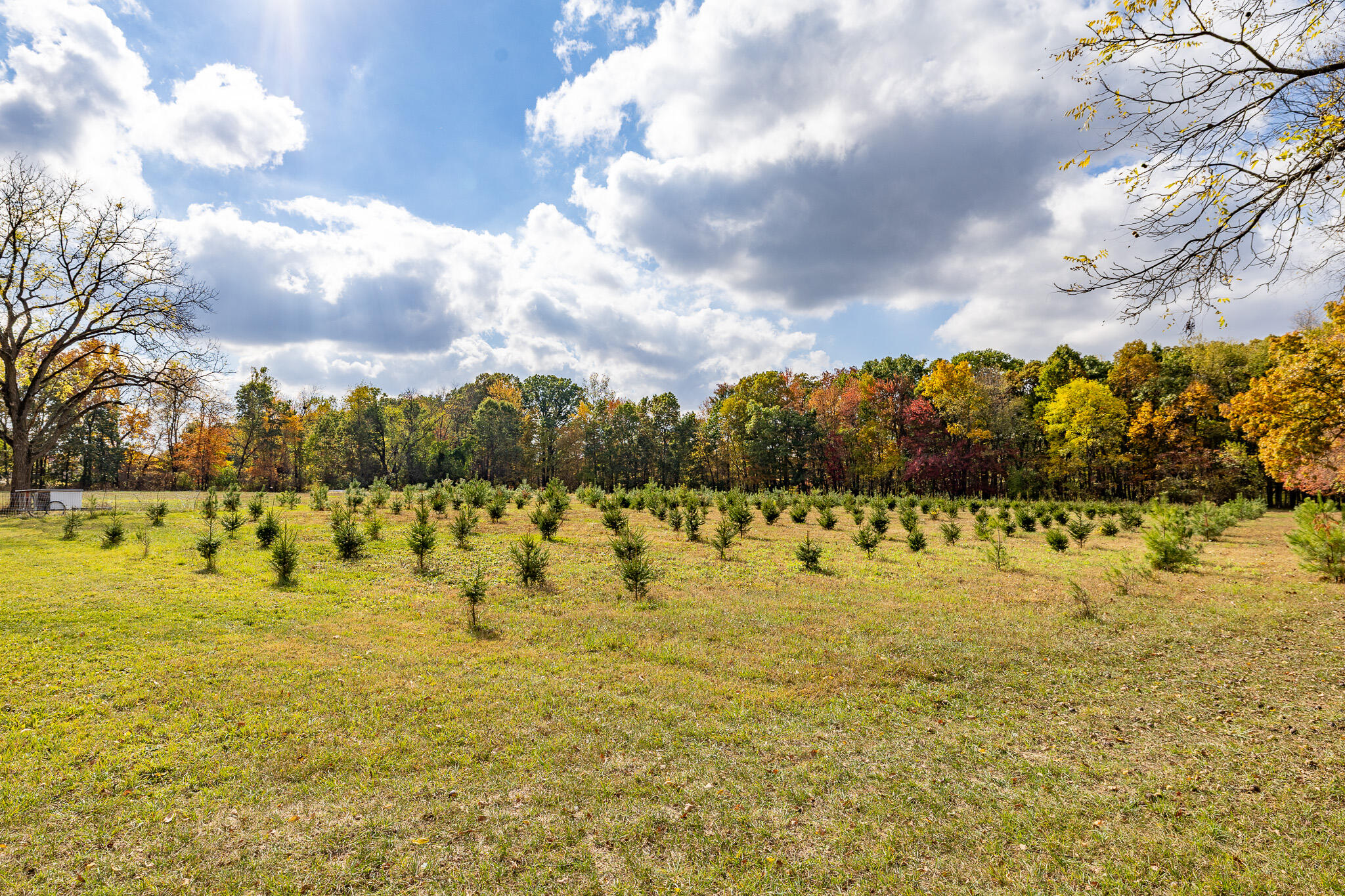 4420 Bull Run Road Gregory, MI 48137 - Photo 62 of 71 496A5098