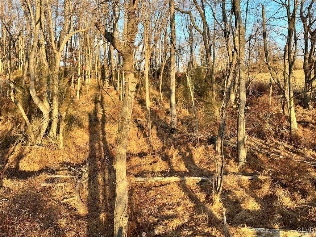 Riverview Drive Walnutport, PA 18088 - Photo 5 of 9