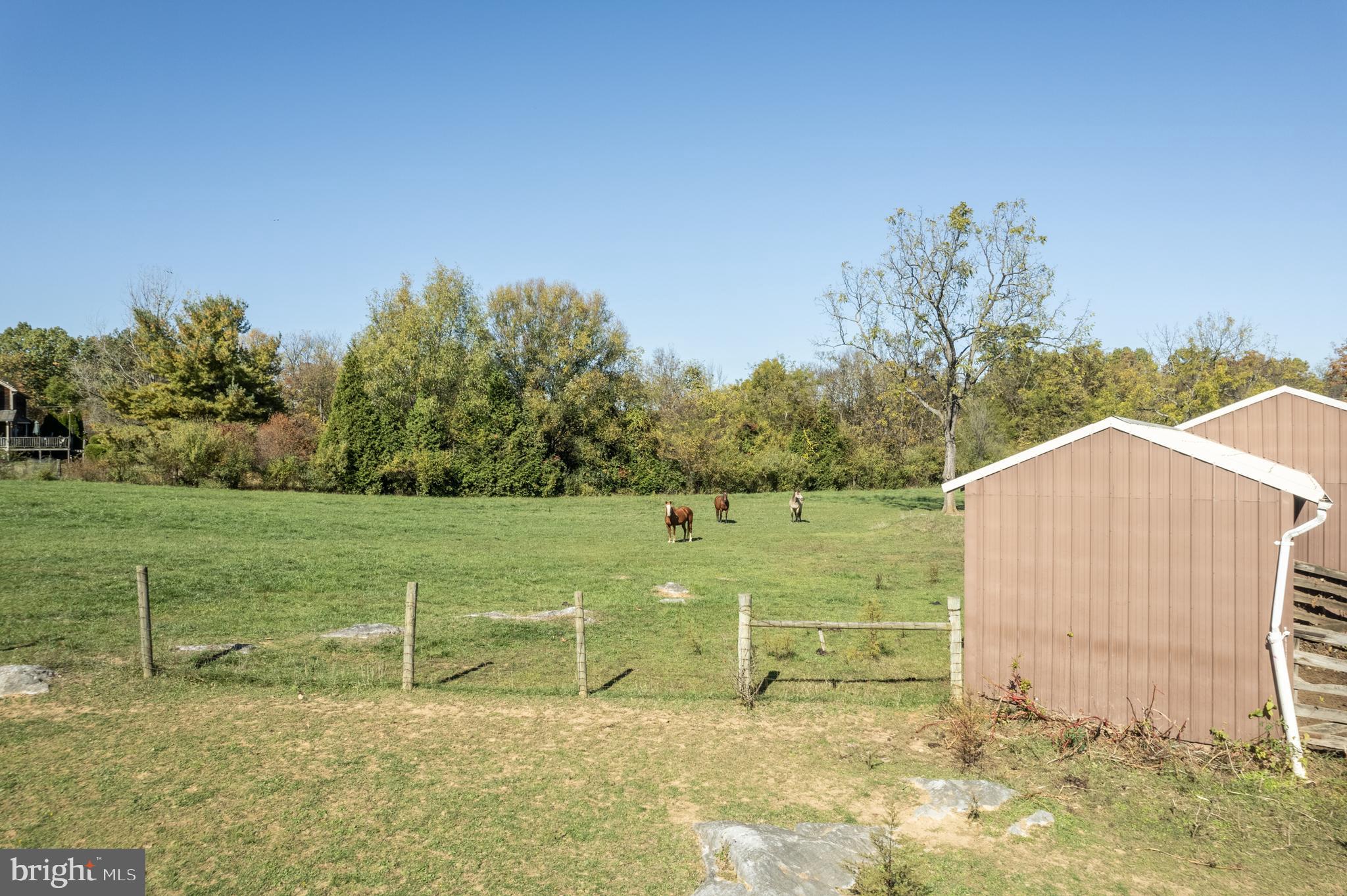 146 Allen Road Berryville, VA 22611 - Photo 24 of 76 Gallery Image 24