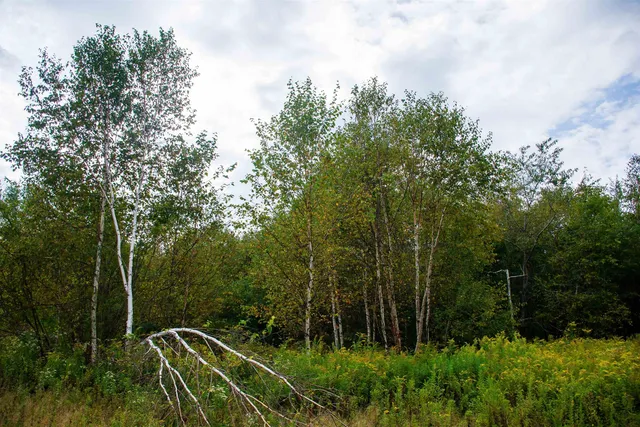 $300,000 | 264 Olds Road, Lempster, NH 03605