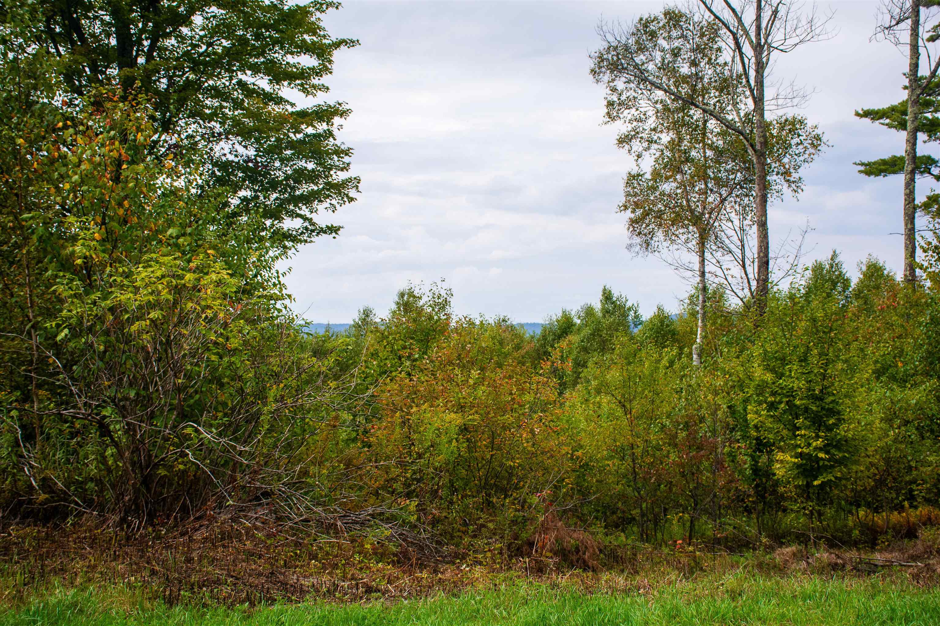 264 Olds Road Lempster, NH 03605 - Photo 7 of 15