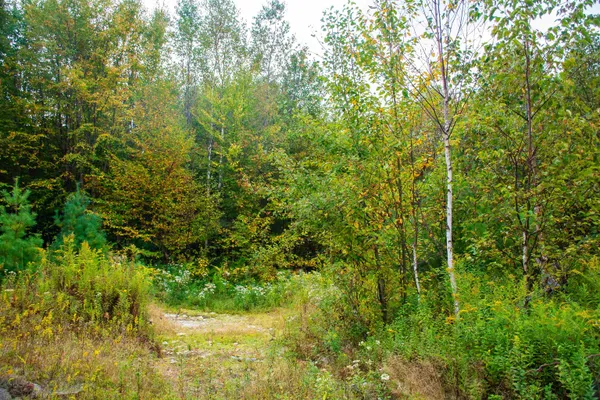 $300,000 | 264 Olds Road, Lempster, NH 03605