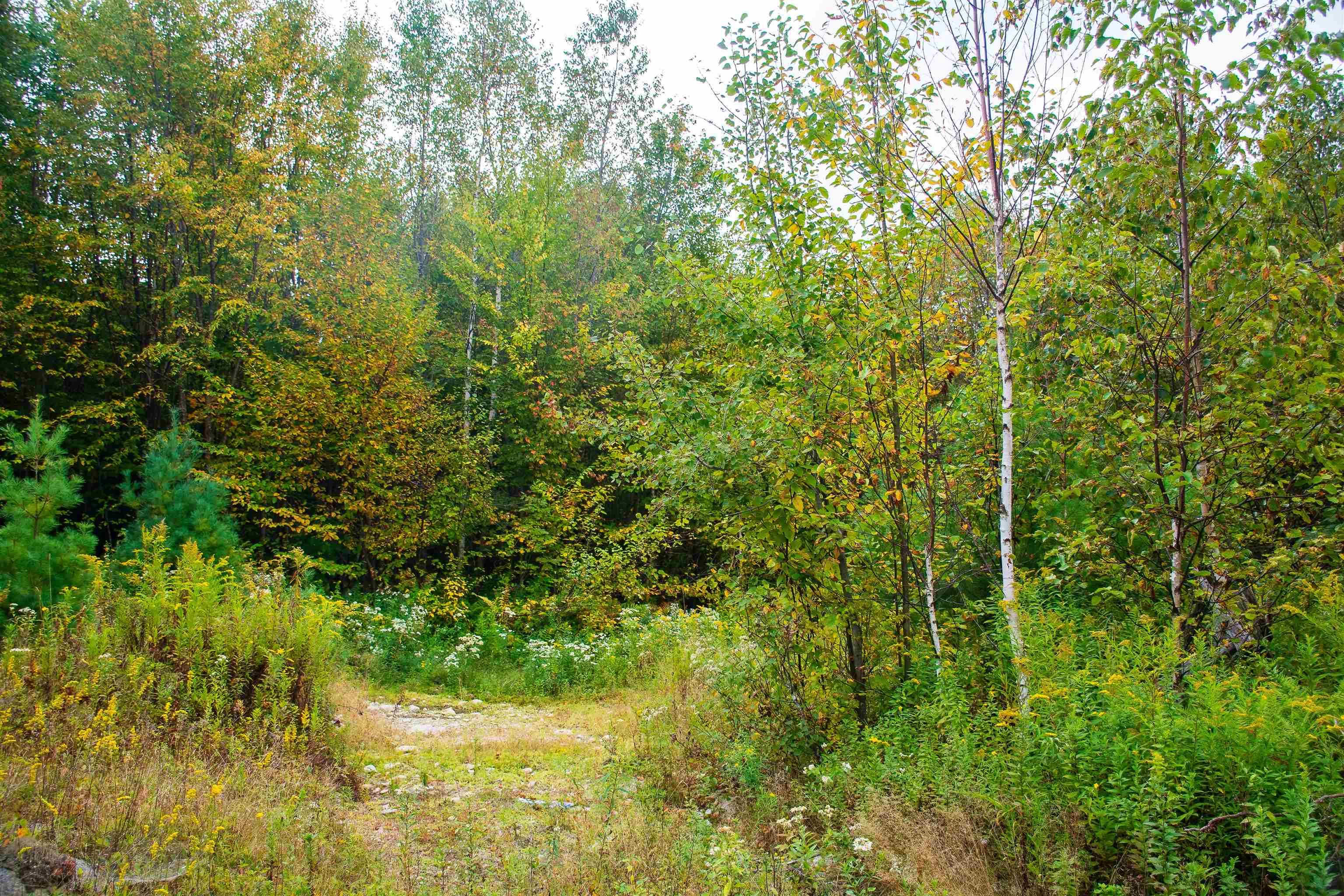 264 Olds Road Lempster, NH 03605 - Photo 9 of 15